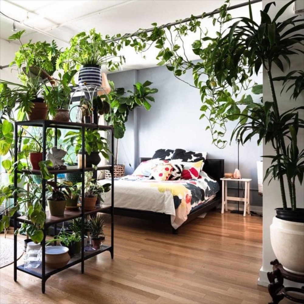 Meet your Posher, Lashonda